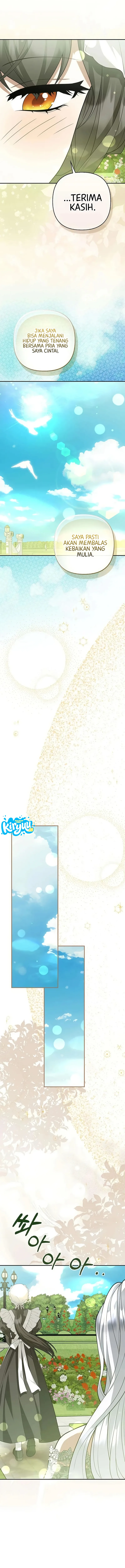 11.webp