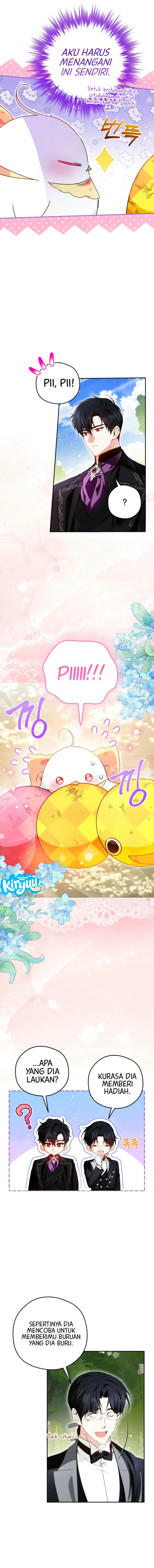 11.webp