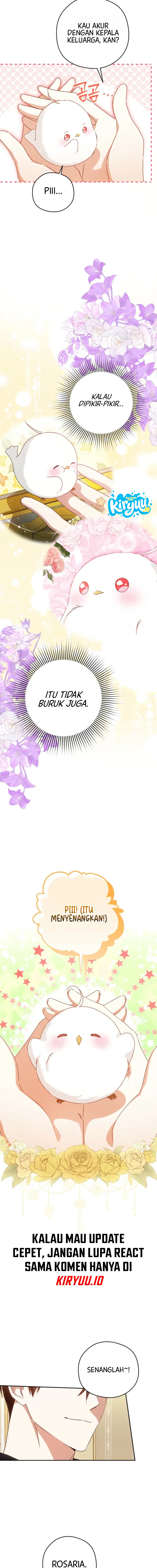 11.webp