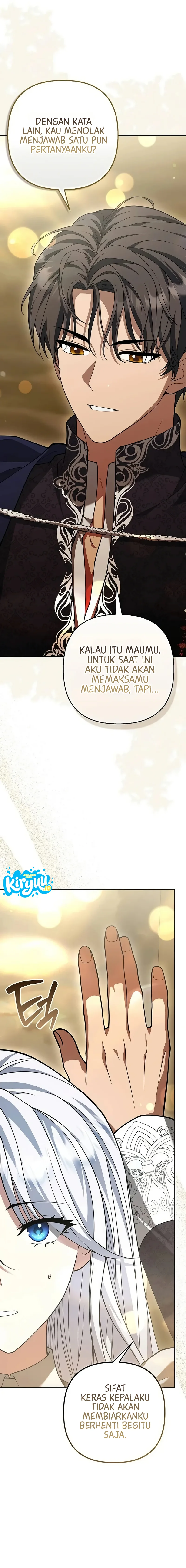 11.webp