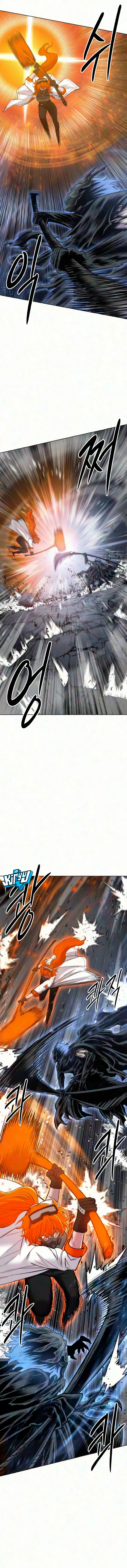11.webp