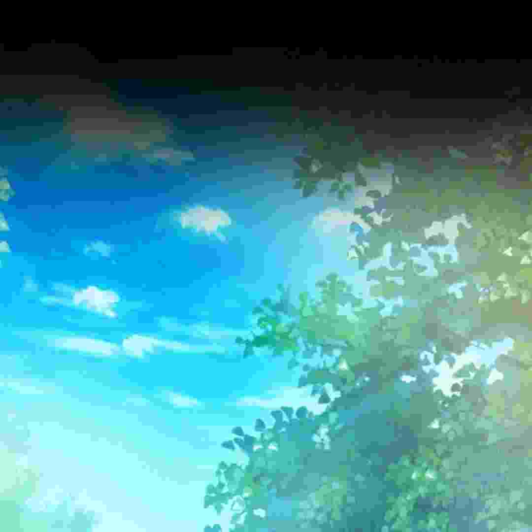113.jpg