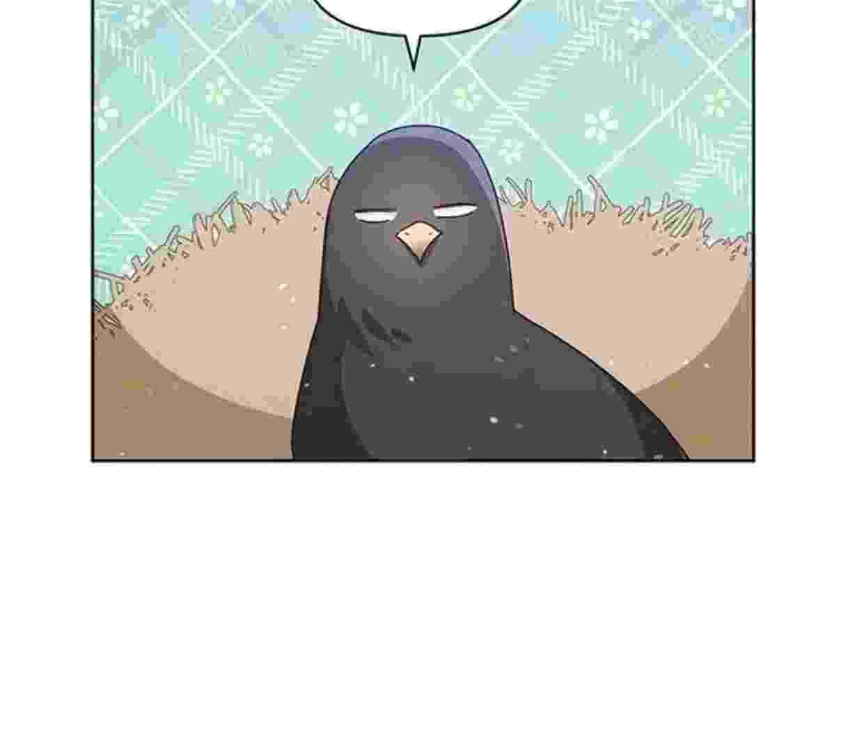 118.jpg