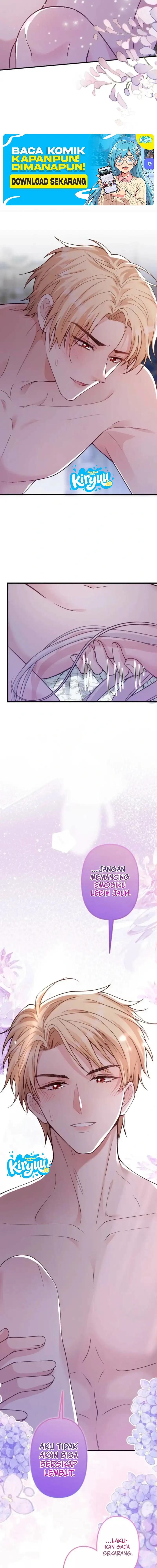 12.webp