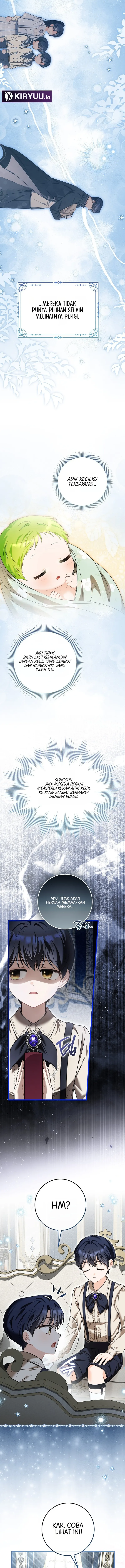 12.webp