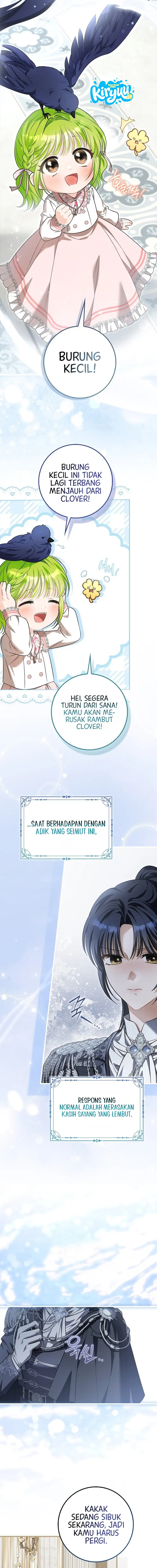 13.webp