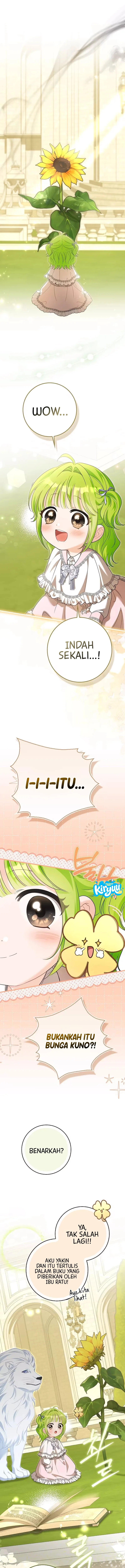 13.webp