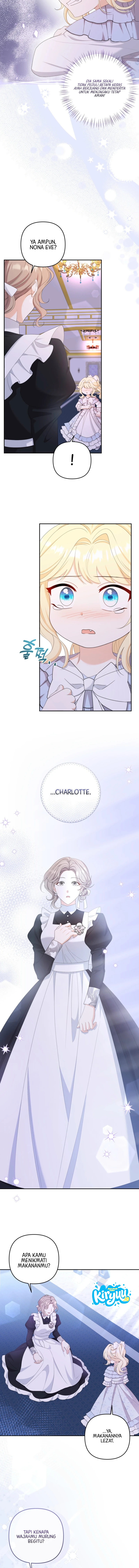 13.webp