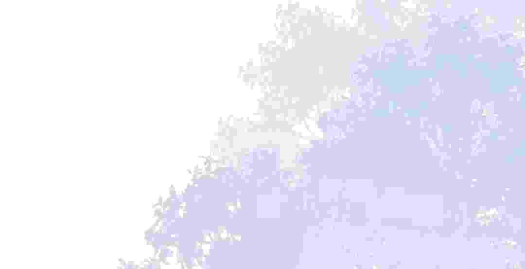 135.jpg