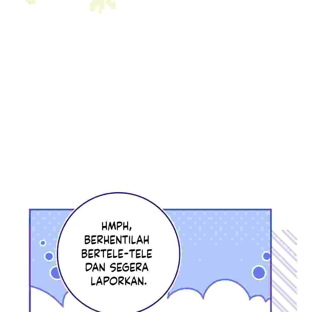 137.jpg