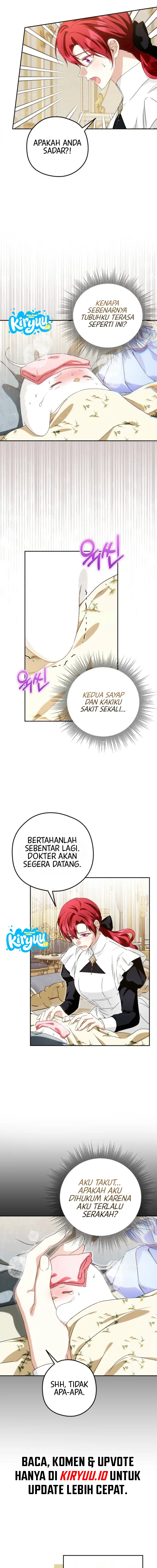 14.webp