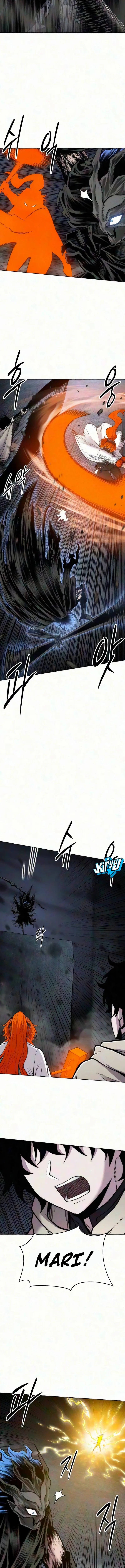 14.webp