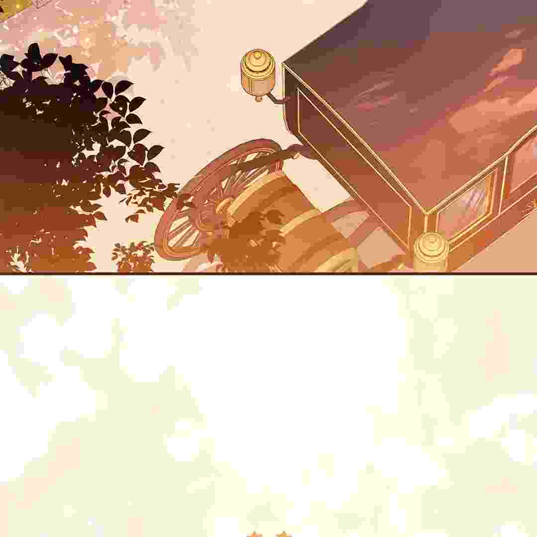 142.jpg