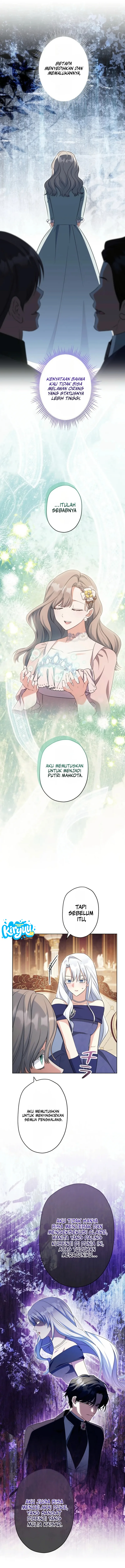 15.webp