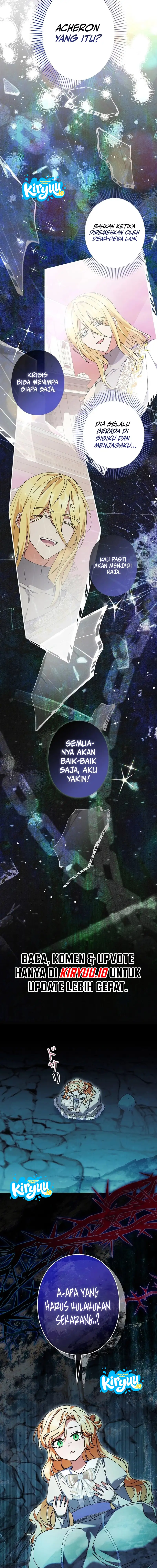 15.webp