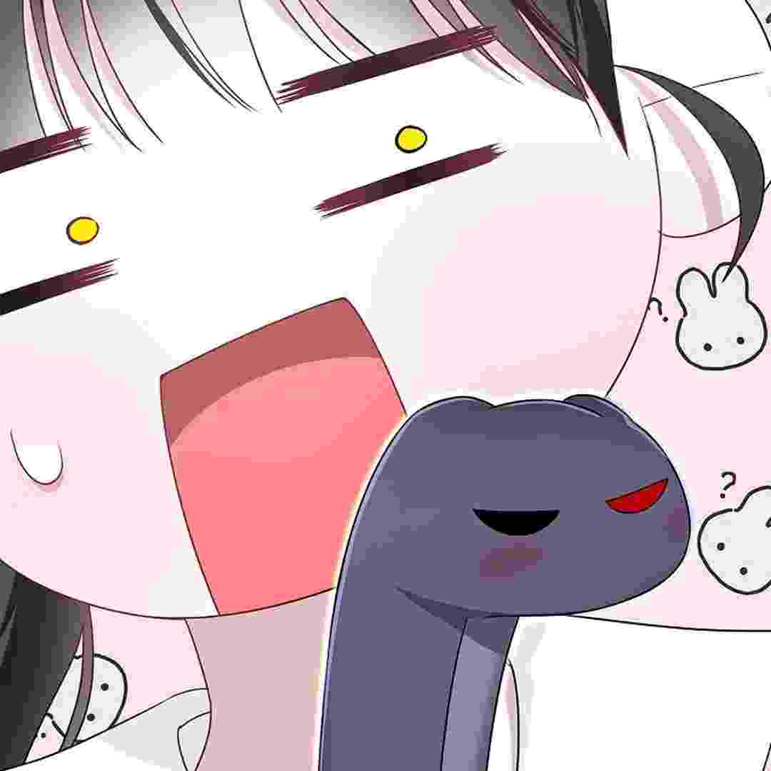 153.jpg