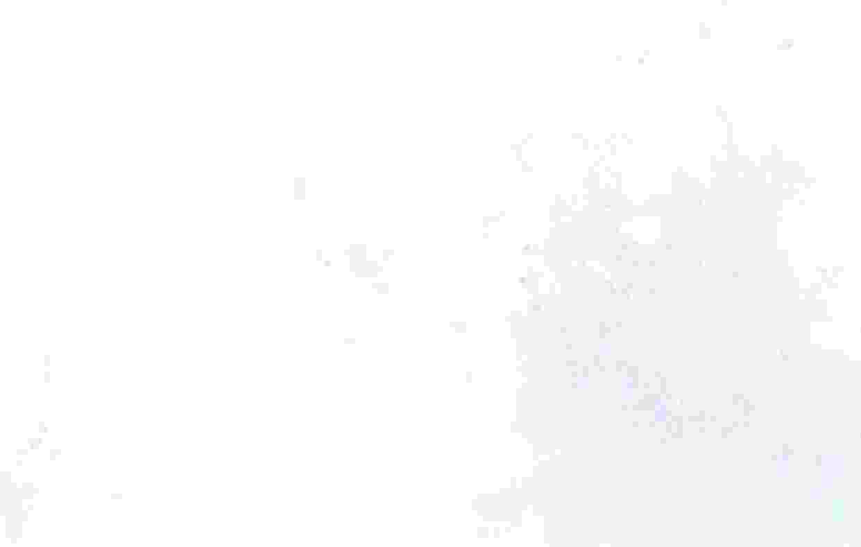 153.jpg