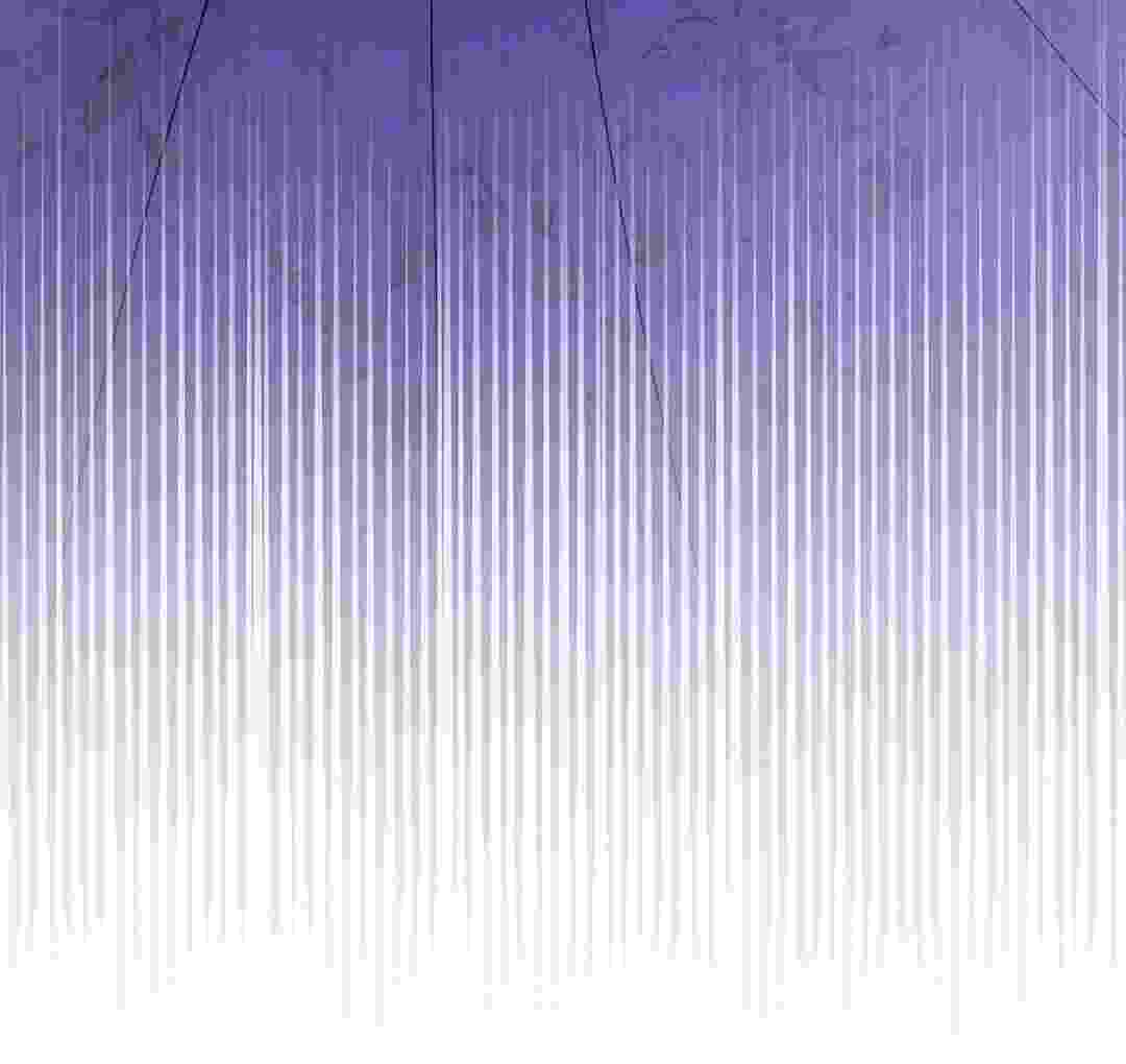 154.jpg