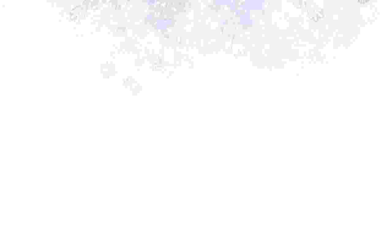169.jpg