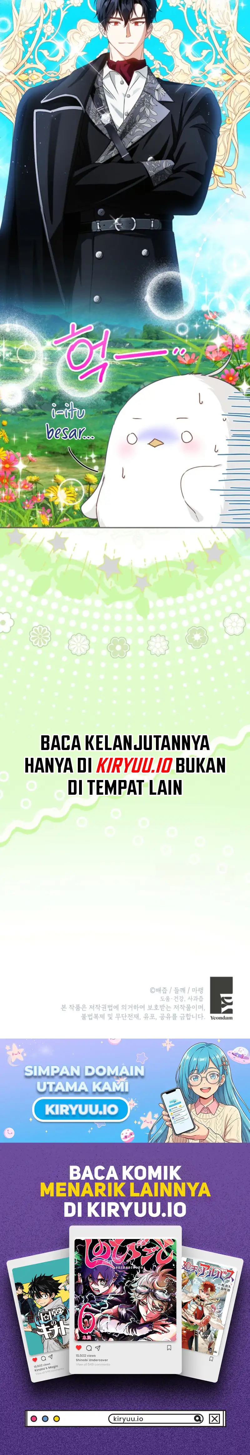 17.webp