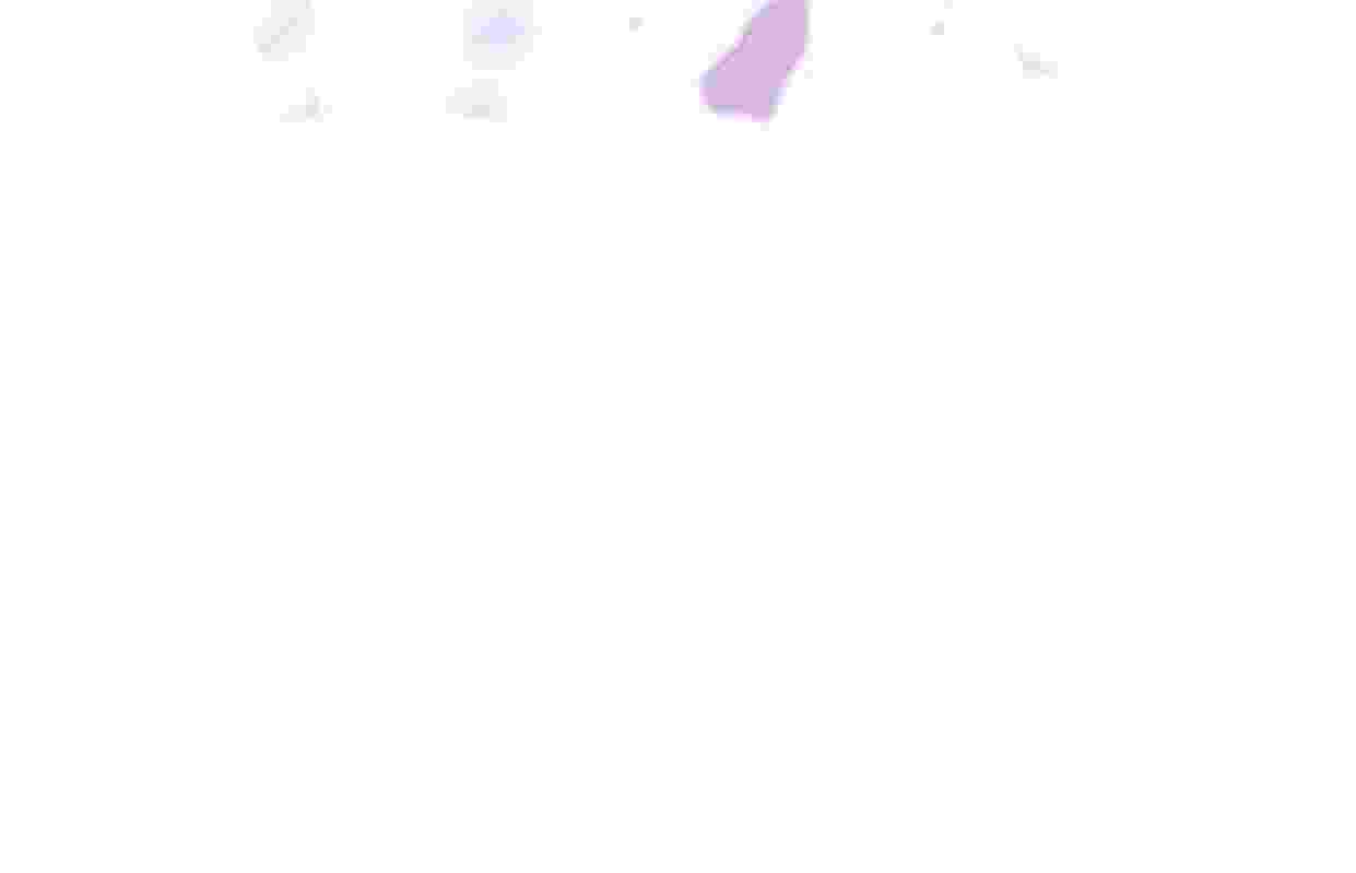 172.jpg