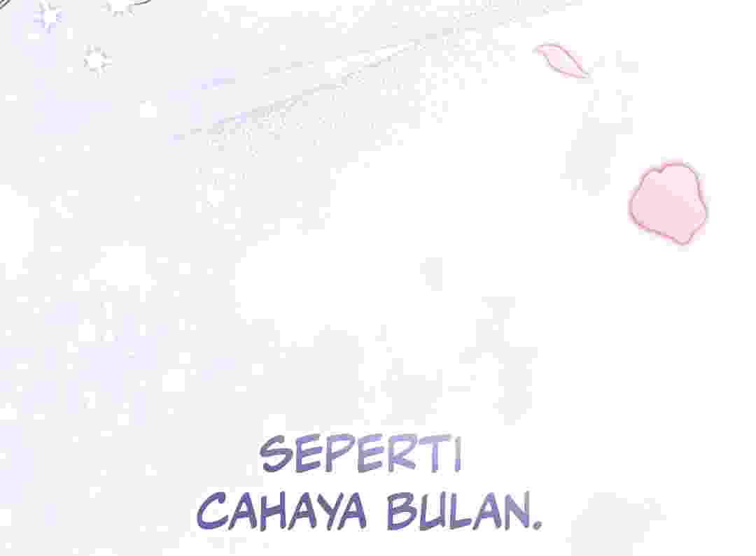175.jpg