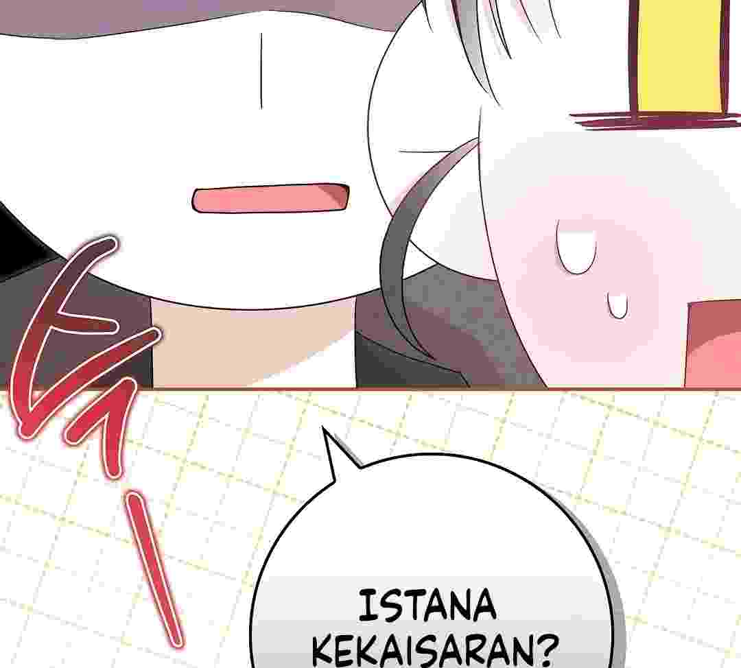177.jpg