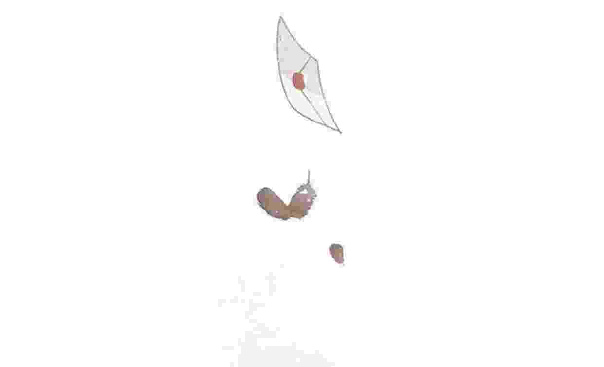 190.jpg
