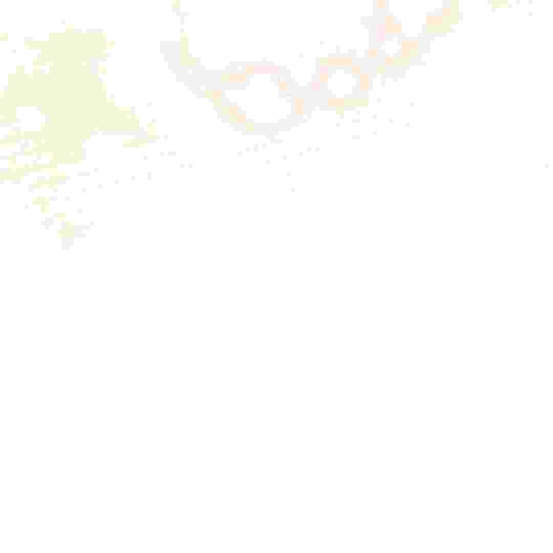 213.jpg
