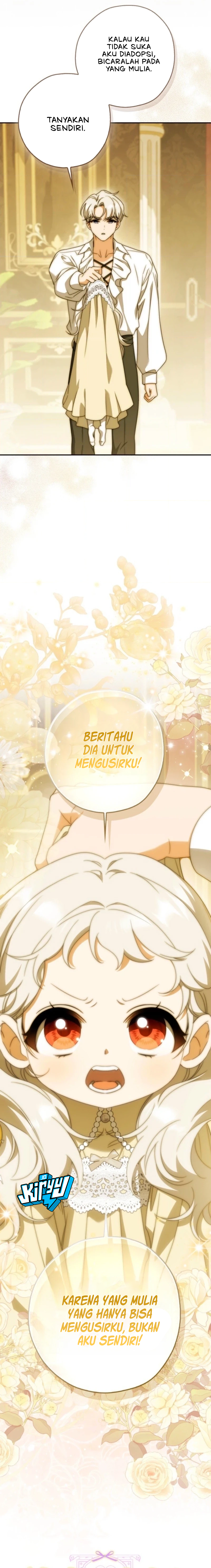 25.webp