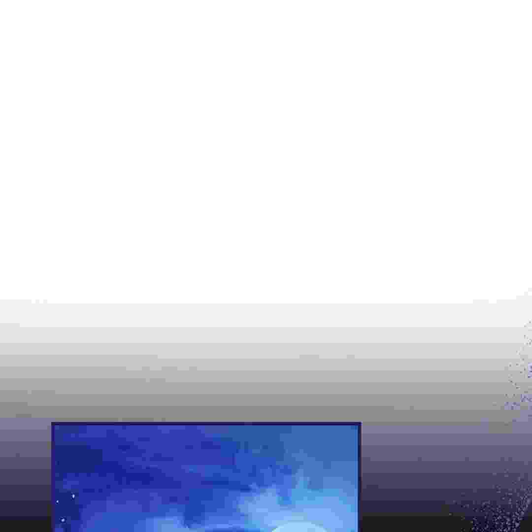 251.jpg