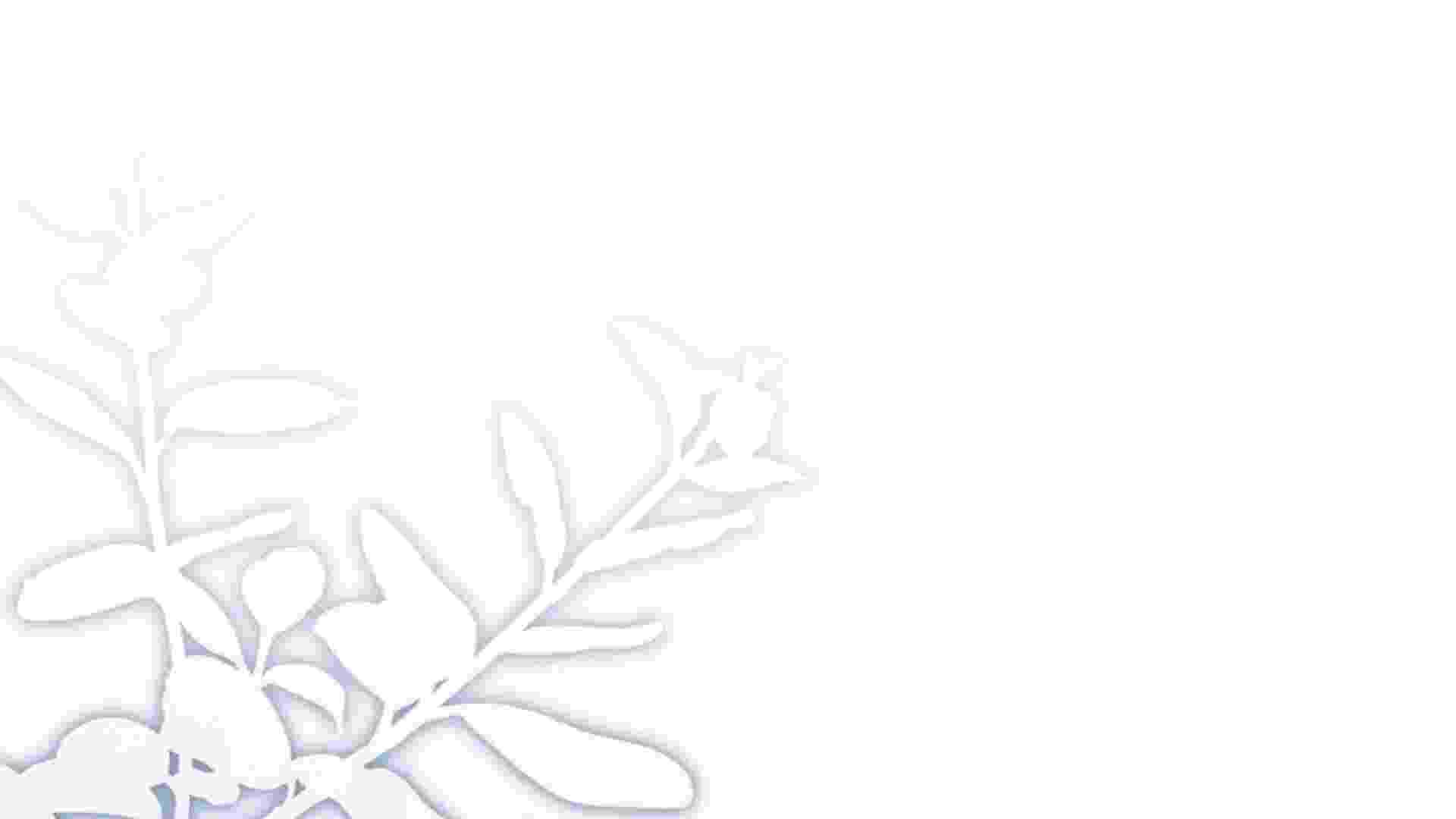 363.jpg
